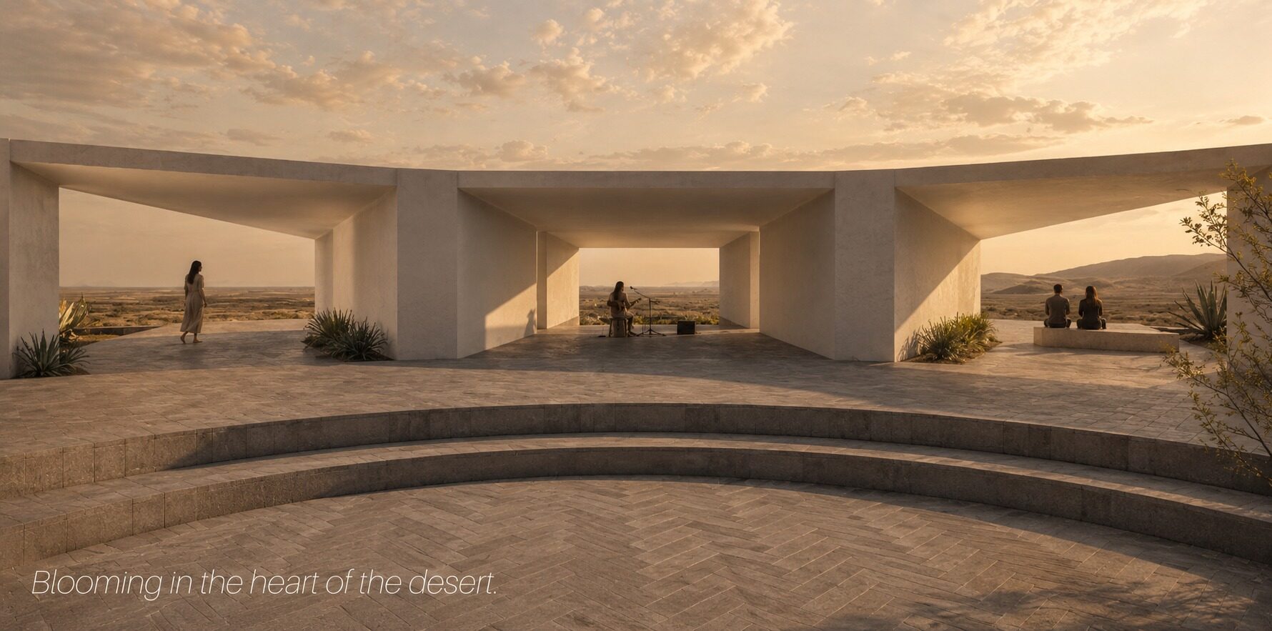 Agave — View 06
