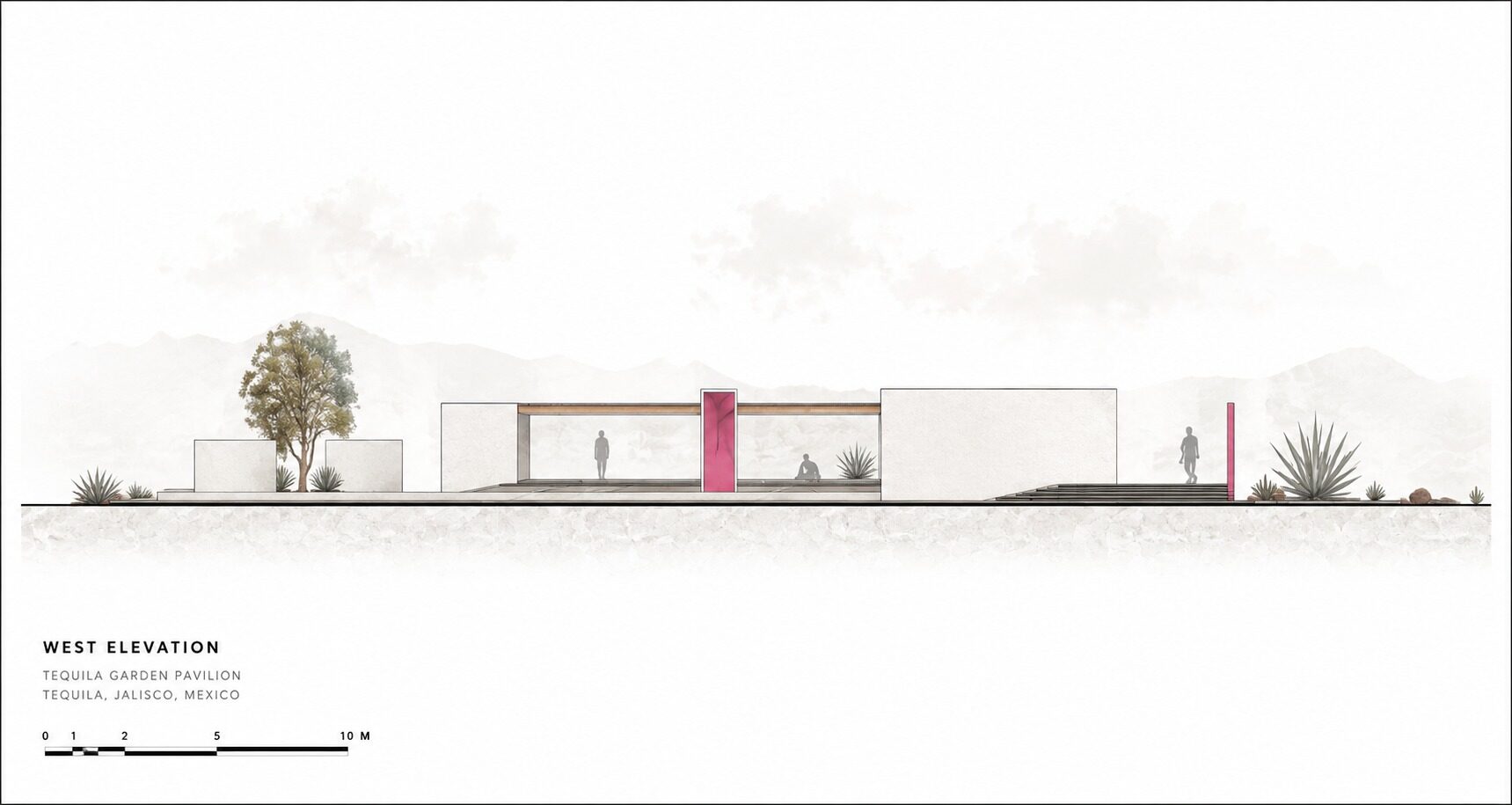 Agave — West Elevation